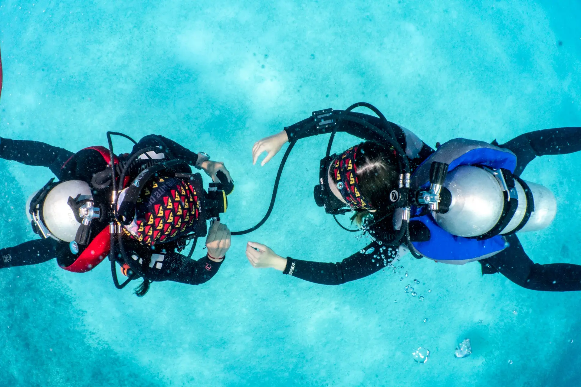 Recreational divers practicing together